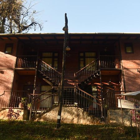 Red Panda Jungle Camp - A Unit Of Davinchi Homes Pvt Ltd Gyalshing Exteriér fotografie