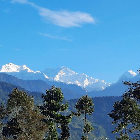 Red Panda Jungle Camp - A Unit Of Davinchi Homes Pvt Ltd Gyalshing Exteriér fotografie