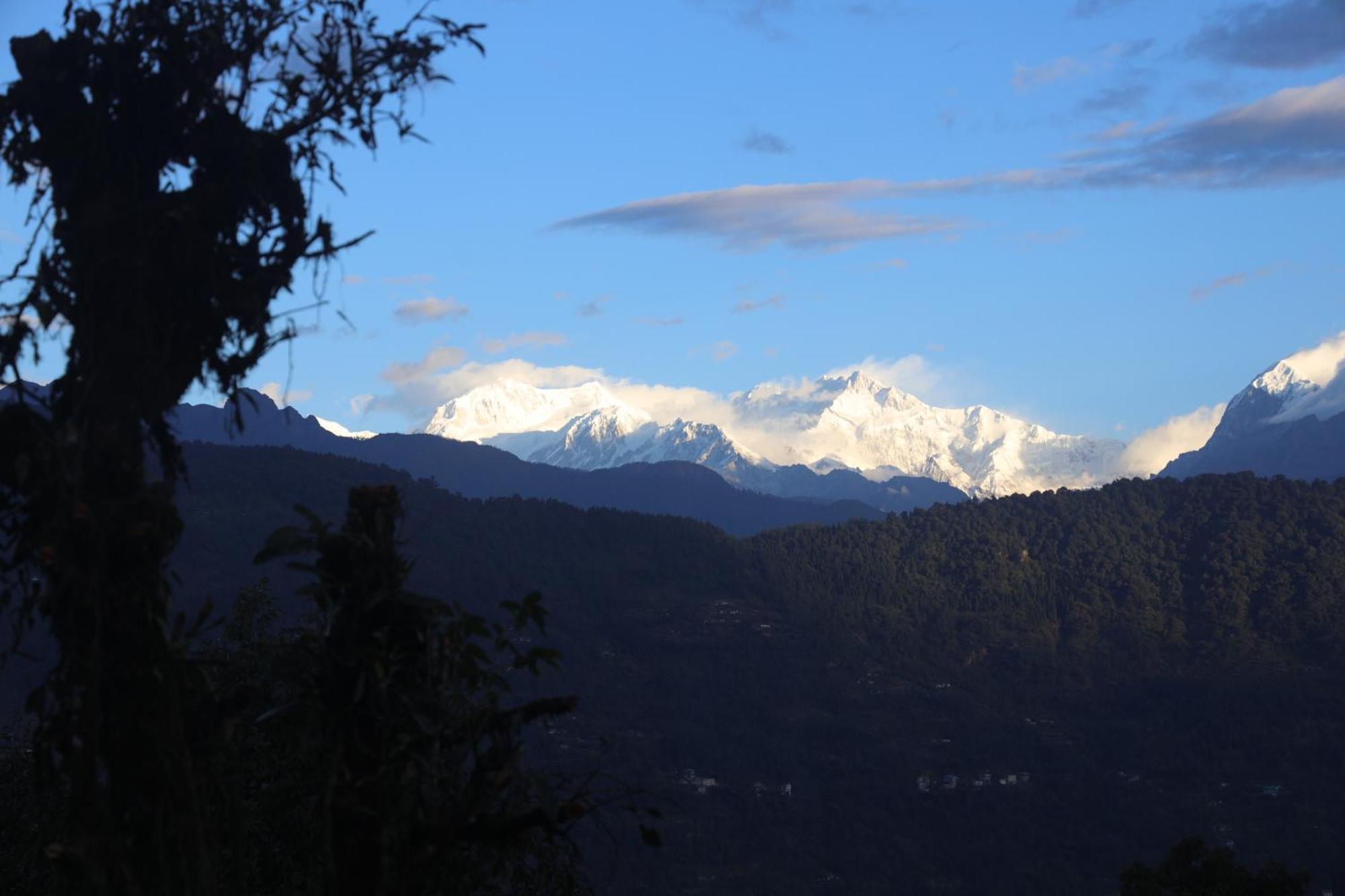 Red Panda Jungle Camp - A Unit Of Davinchi Homes Pvt Ltd Gyalshing Exteriér fotografie